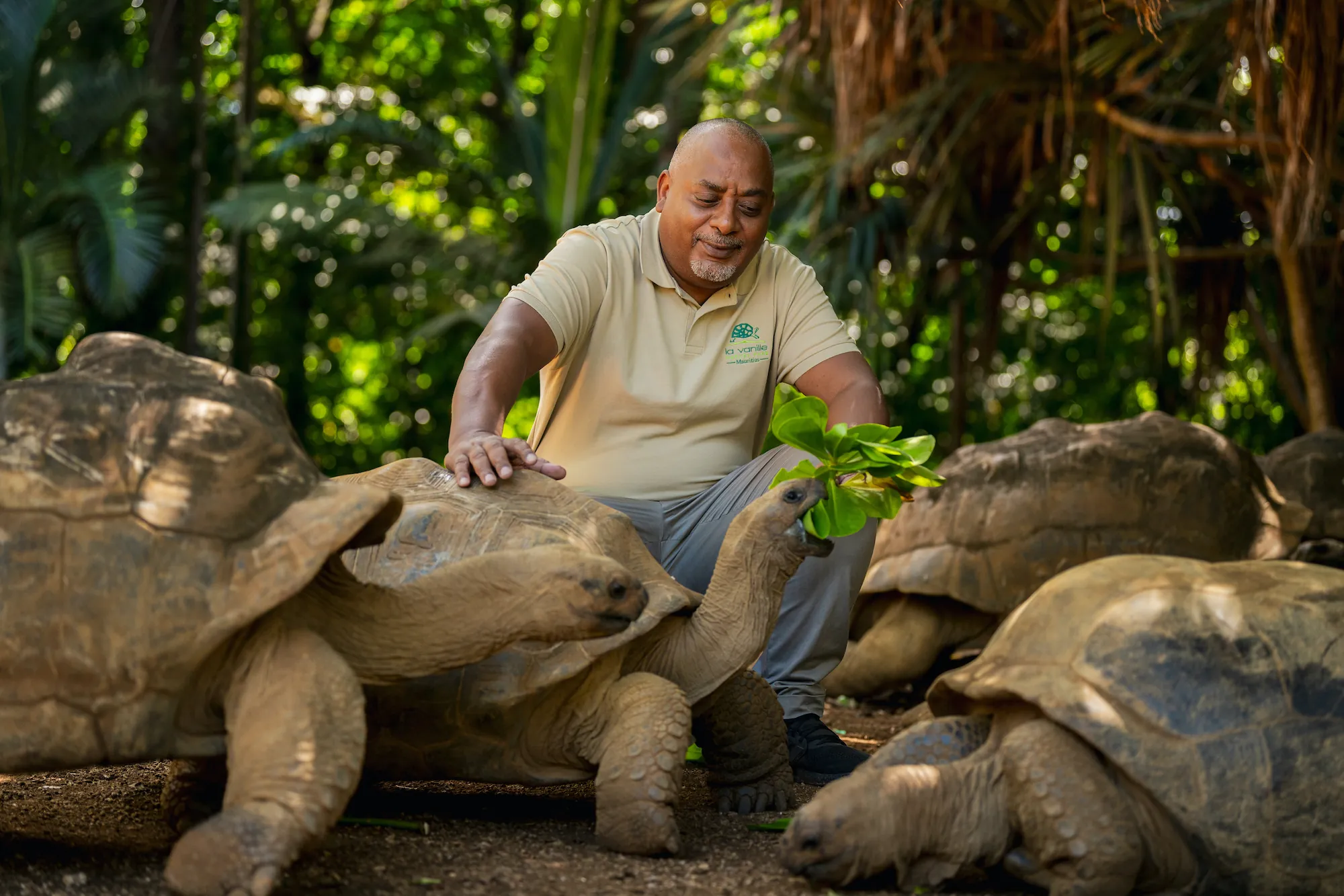 Animals & Conservation